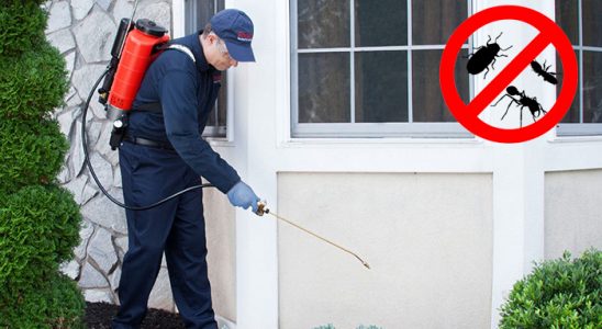 Kemah Tahtakurusu İlaçlama böcek ilaçlama ve haşere kontrolü — ilaclama-tr.com